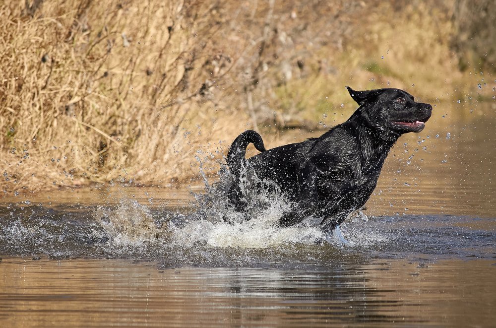 Photograph by Ольга Шибяева