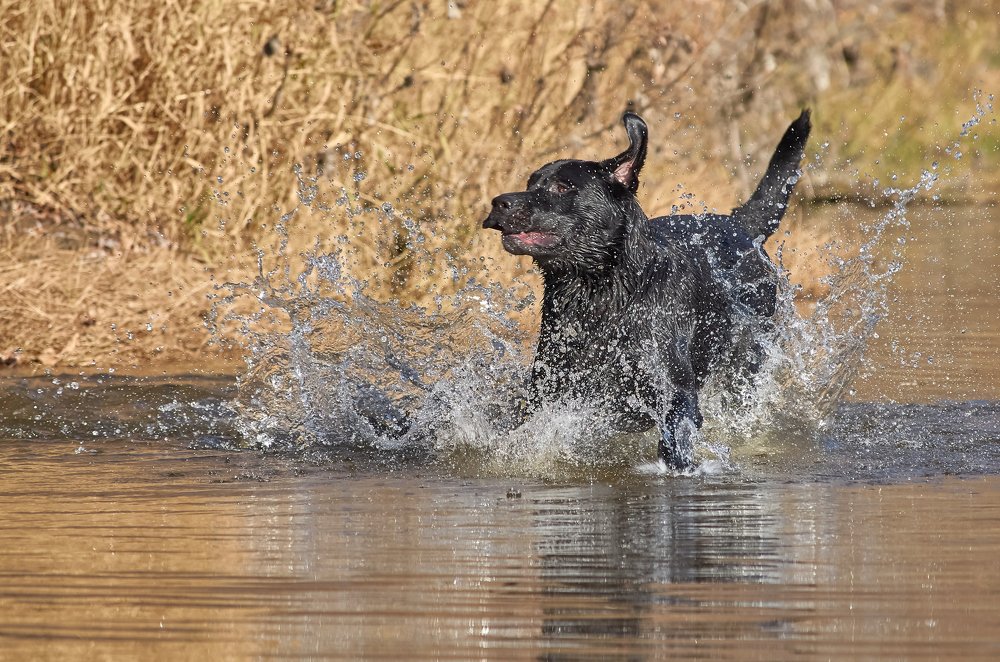 Photograph by Ольга Шибяева