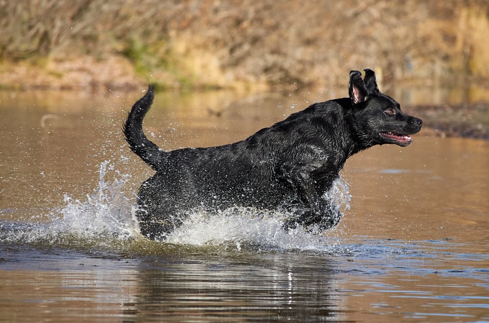 Photograph by Ольга Шибяева