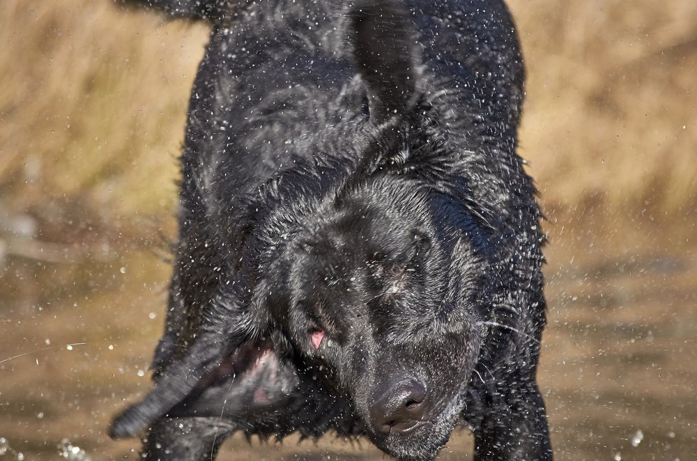 Photograph by Ольга Шибяева