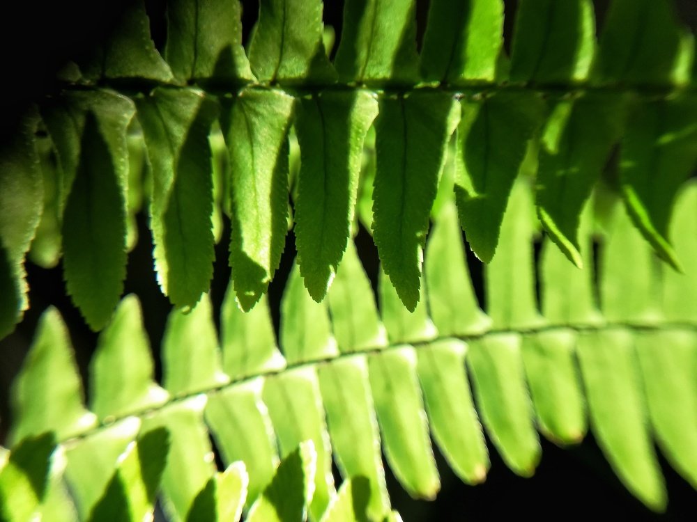 Photograph by Юлия