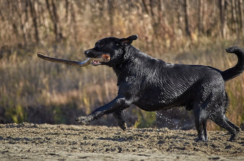 Photograph by Ольга Шибяева