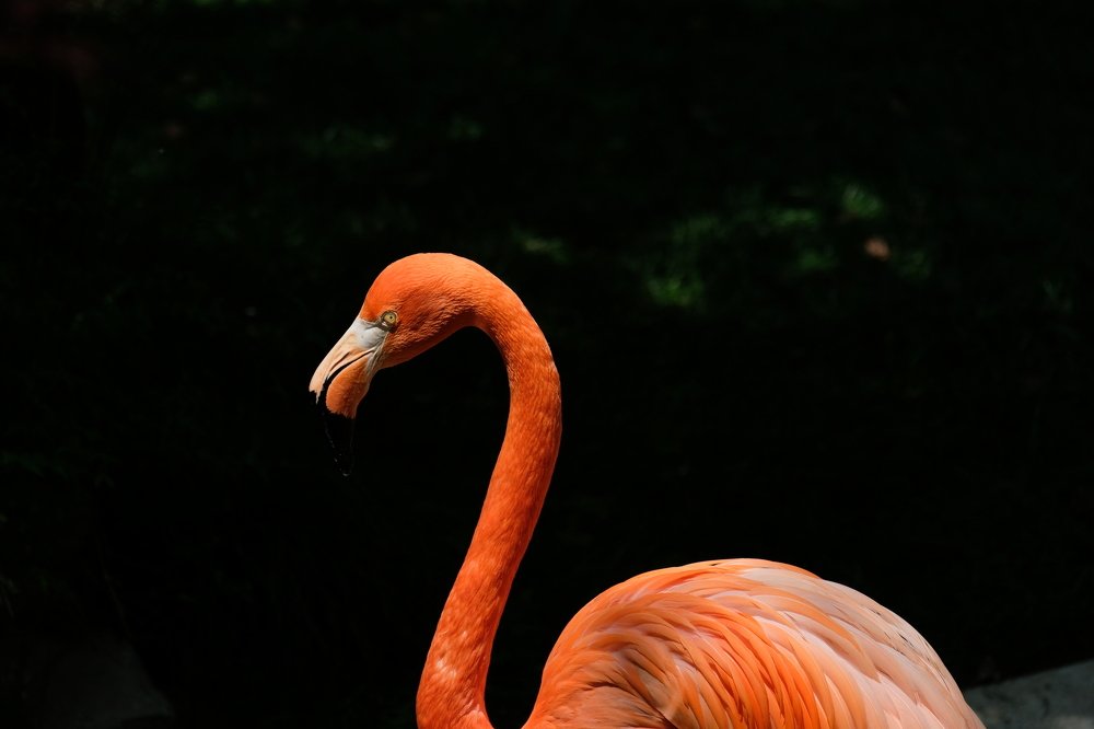 Photograph by Рябова Олеся