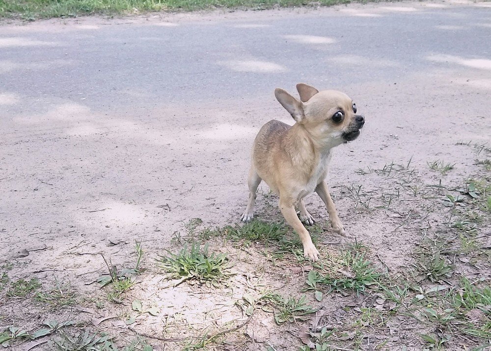 Photograph by Ирина Корнева