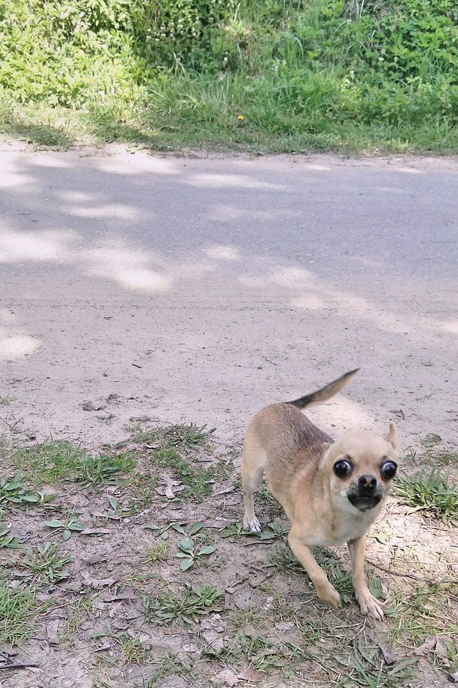 Photograph by Ирина Корнева