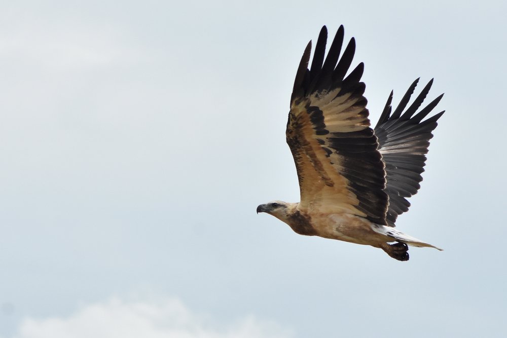 Photograph by vimukthi wasala