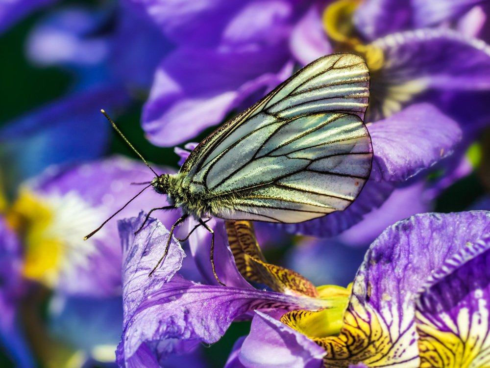 Photograph by Victor Pruhnitskiiy