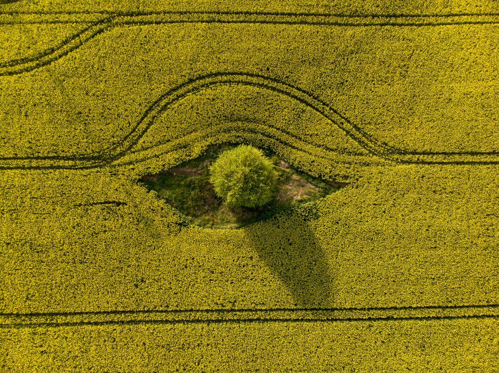 Photograph by Gergana Vlaykova