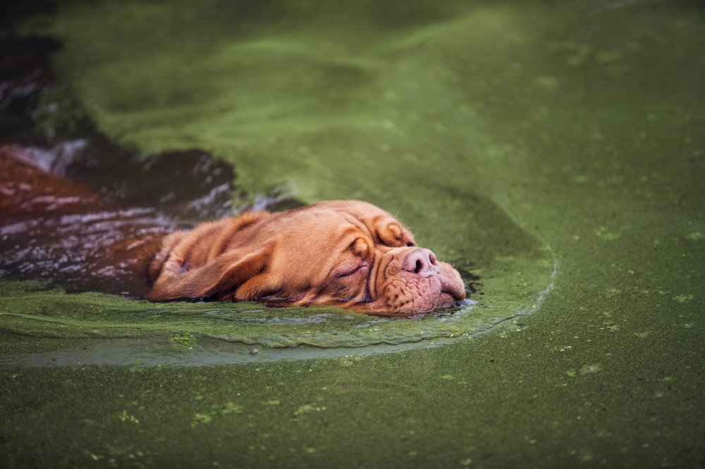 Photograph by Elena Dmitrieva