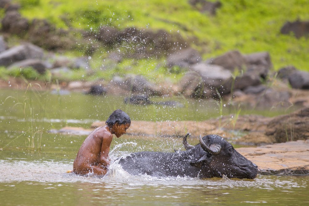 Photograph by jayesh vijuda