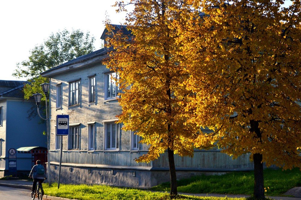 Photograph by Валерия Бердникова