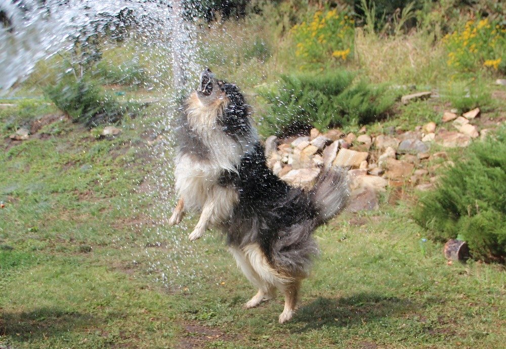 Photograph by Ирина Мамичева