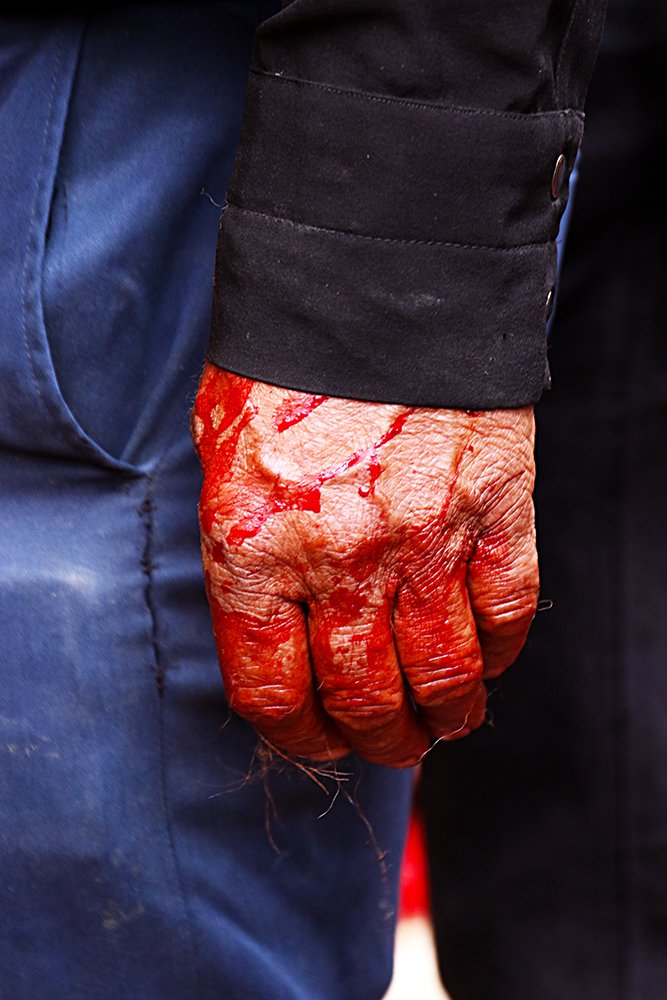 Photograph by behbood mohajeri jolandan