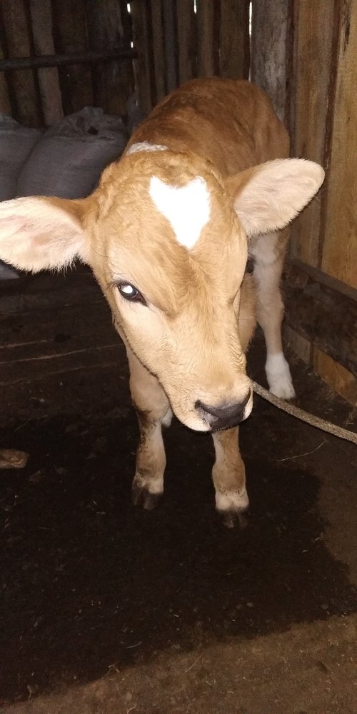 Photograph by Женя Евсеева