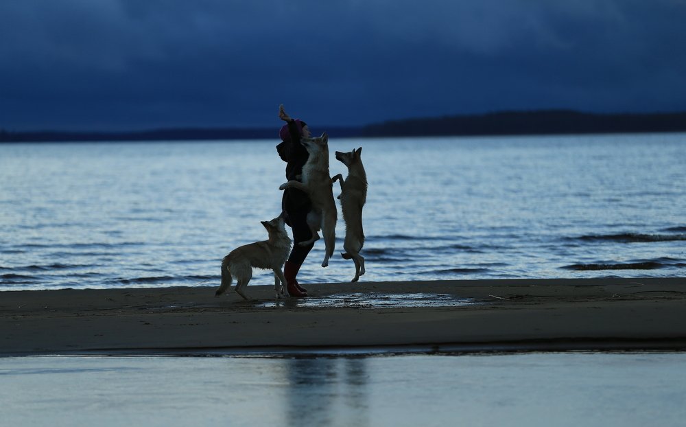 Фотография автора Юрий Кетель