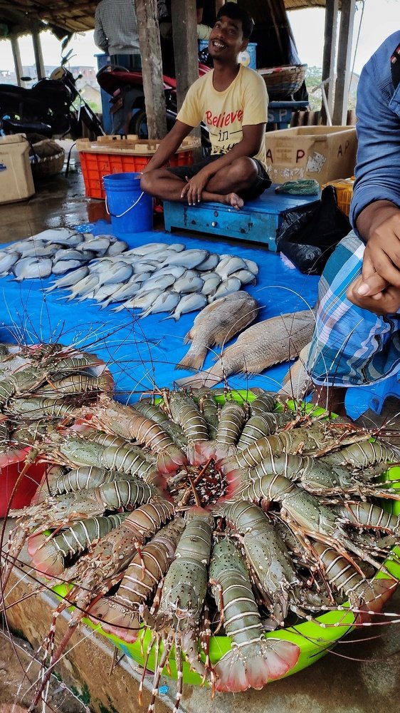 Photograph by  Asamanj Maiti