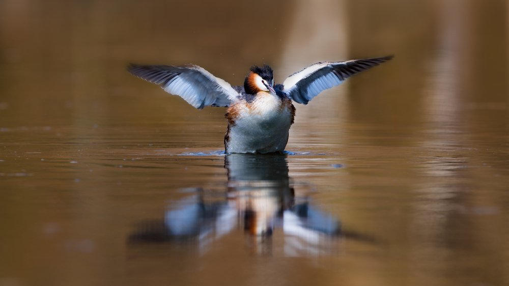 Photograph by Алексей Петров