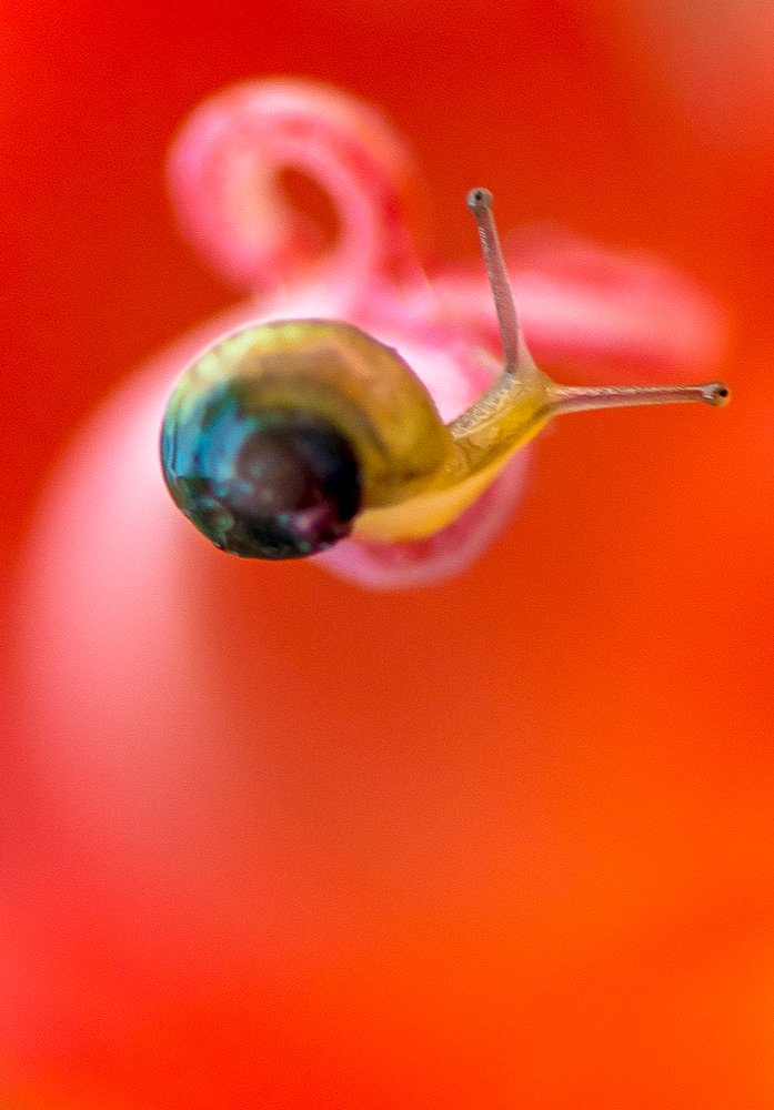 Фотография автора Maurice Leung