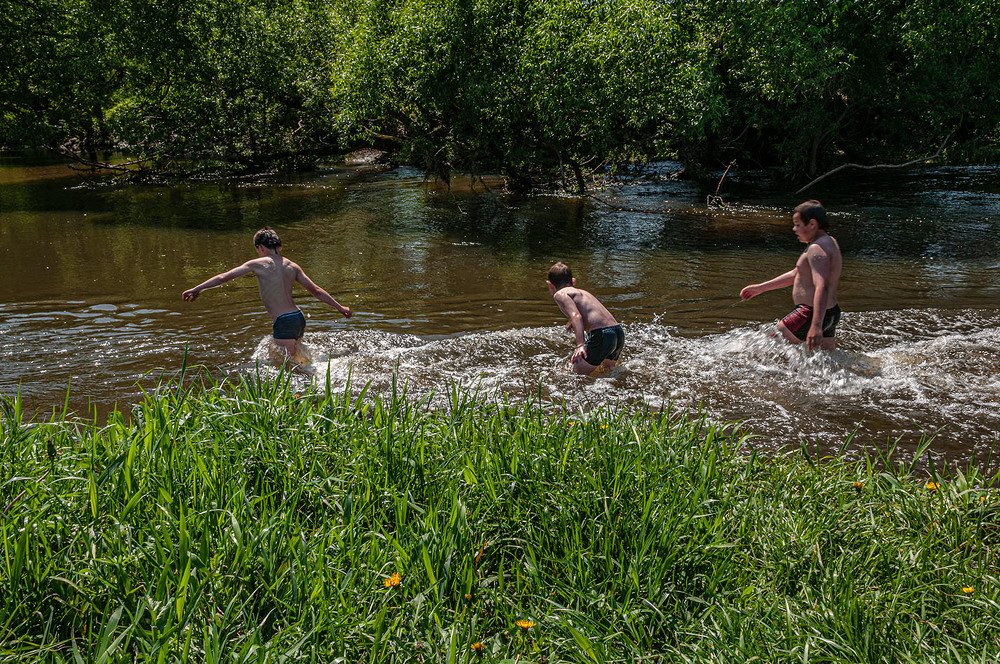 Photograph by Vladimir  Komarov