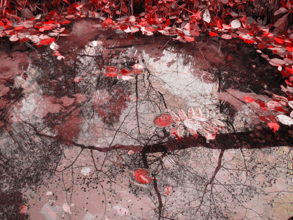 Photograph by Егор Охрименко