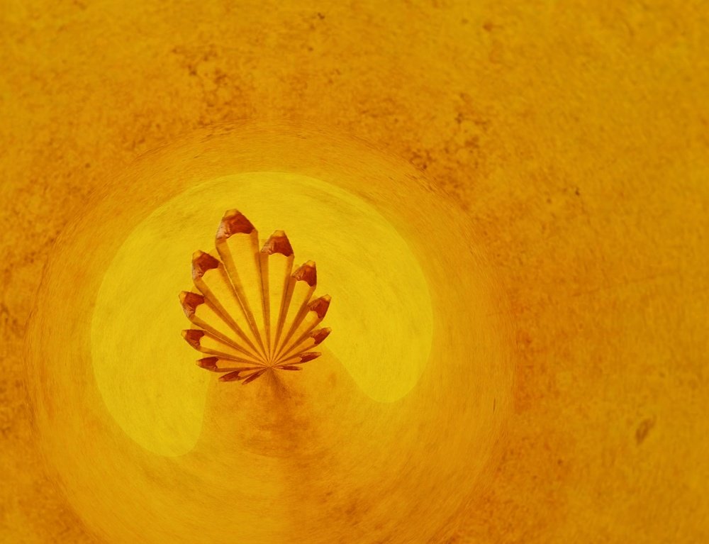 Photograph by Amgad Engy