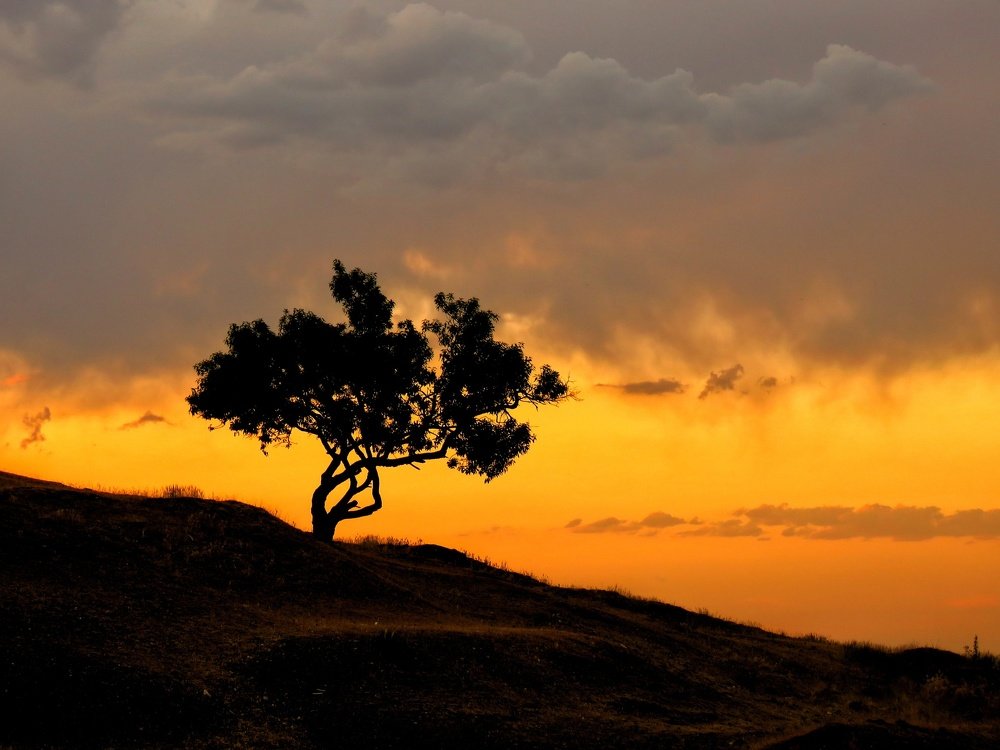 Photograph by Bahrami Ashkan