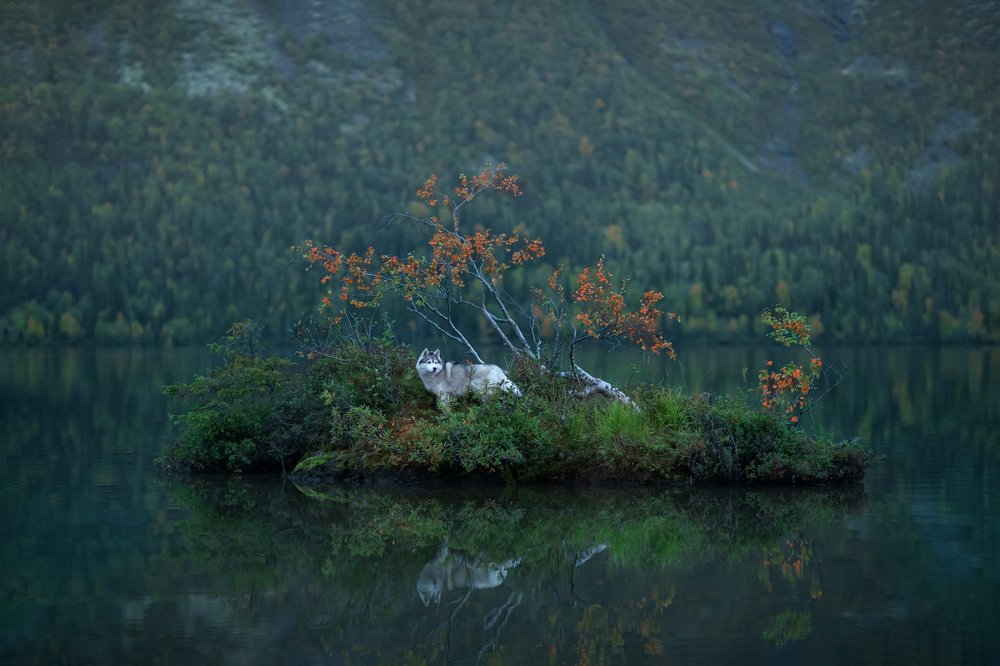 Photograph by Светлана Писарева