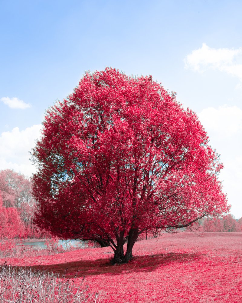 Photograph by Евгений Вознюк