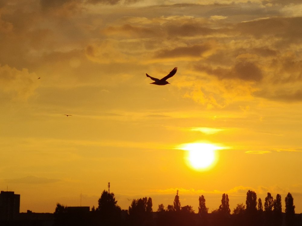 Photograph by Александр Залуцкий