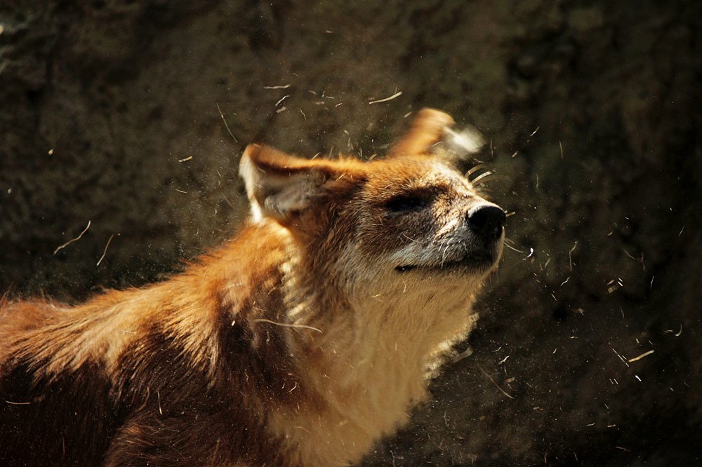 Photograph by Екатерина Яковлевская