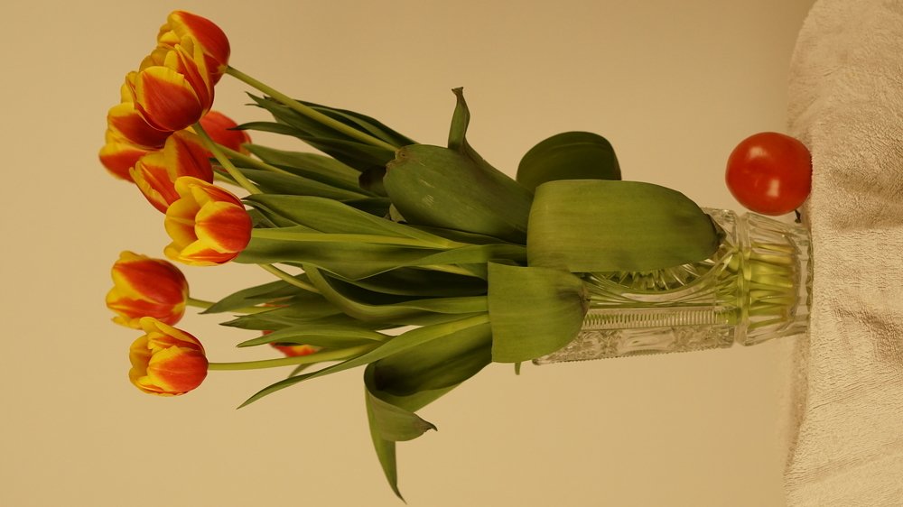 Photograph by Toomas Tõnisalu