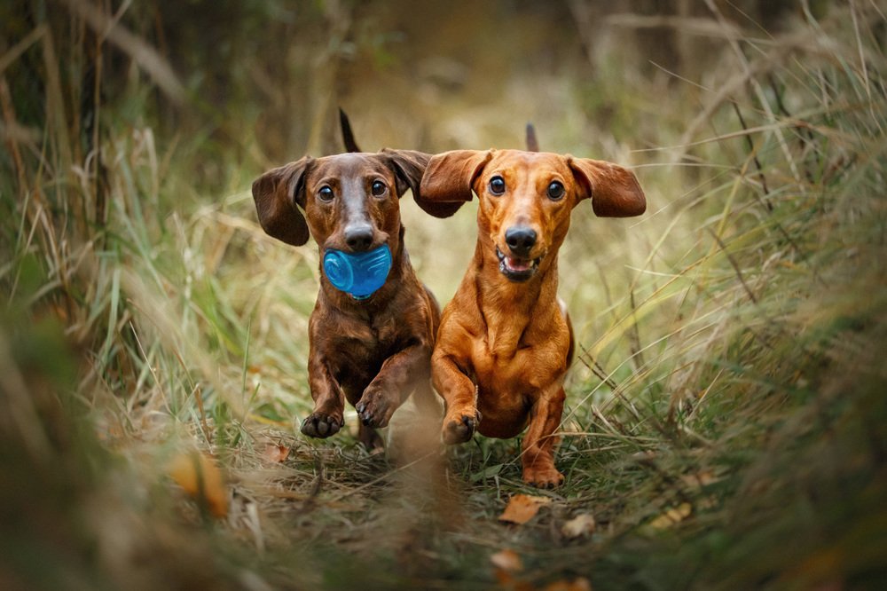 Photograph by Оксана Серова