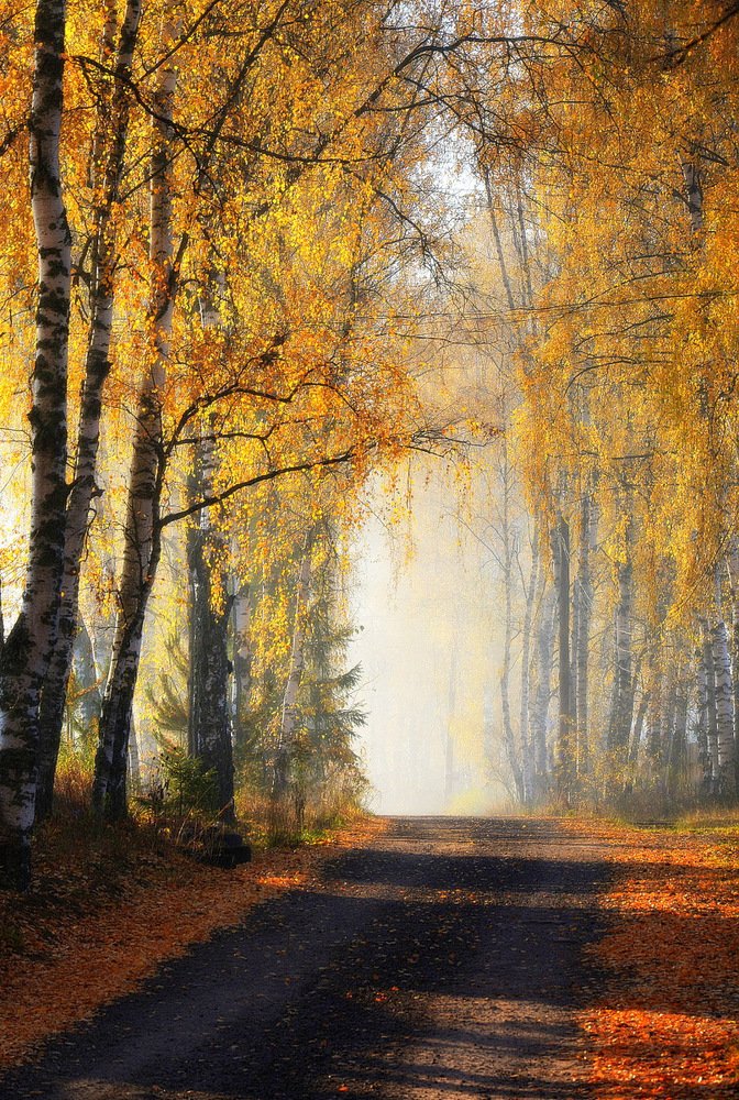 Photograph by Сергей Алексеев