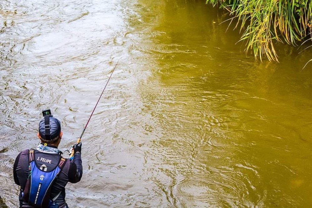 Photograph by Ricardo A. Restrepo L.