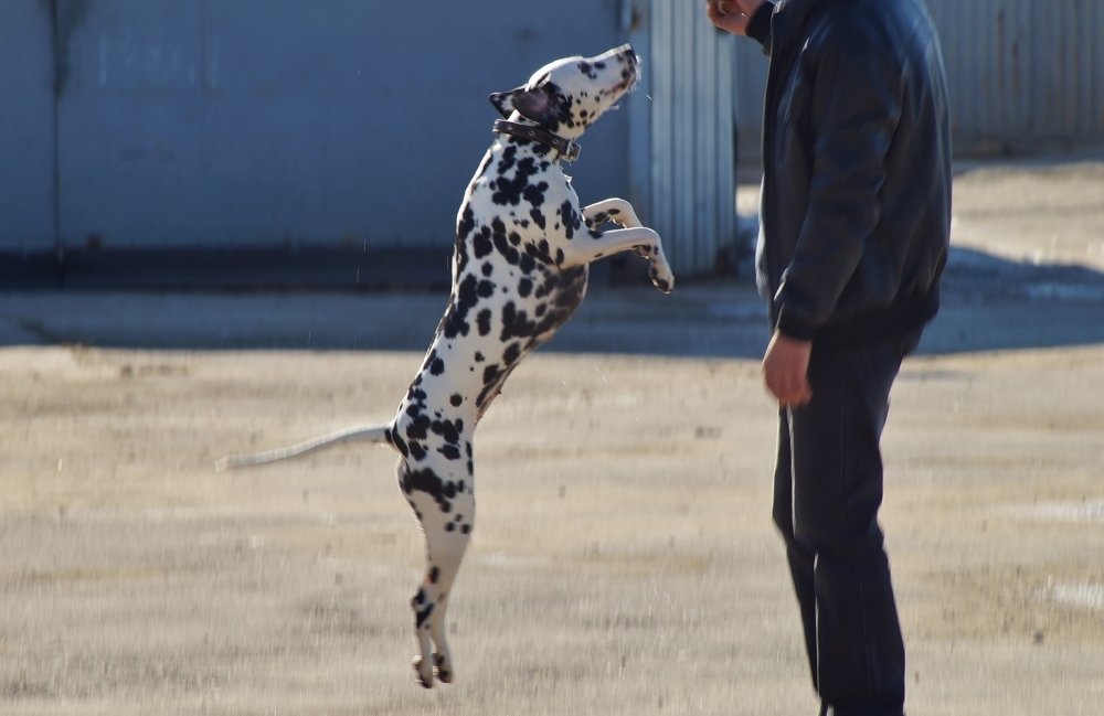 Photograph by Александр Попов