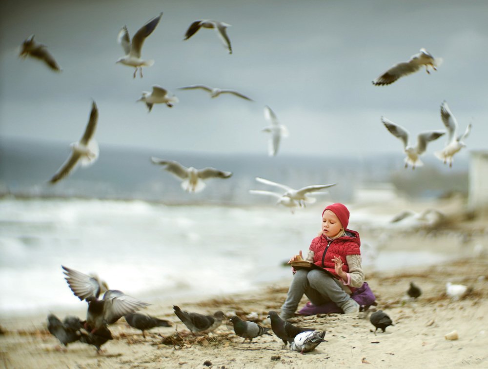 Photograph by Кристев Сергей