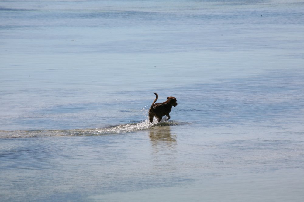 Photograph by OSSETROVA Eugeniya