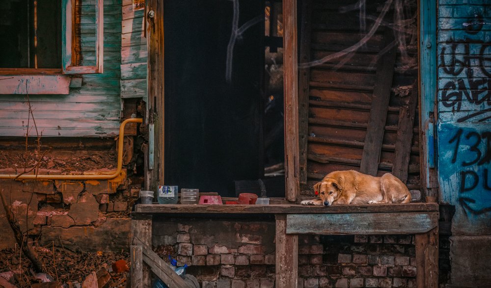 Photograph by Кирилл Огинов