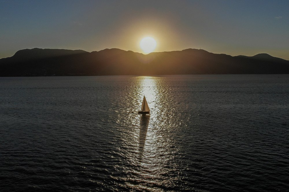 Фотография автора david xavier de carvalho