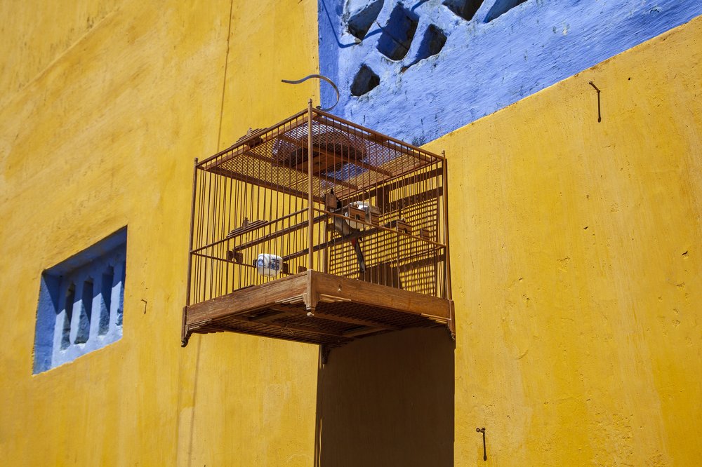 Фотография автора евгений митрошин