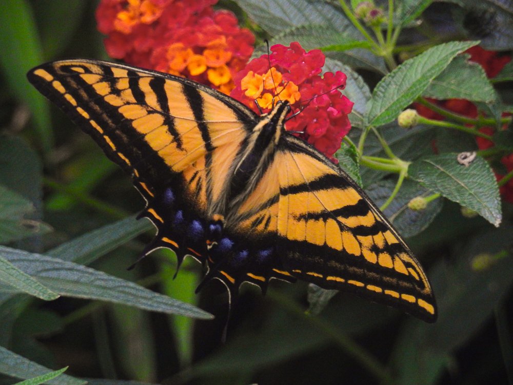 Фотография автора Gabriela Bonilla