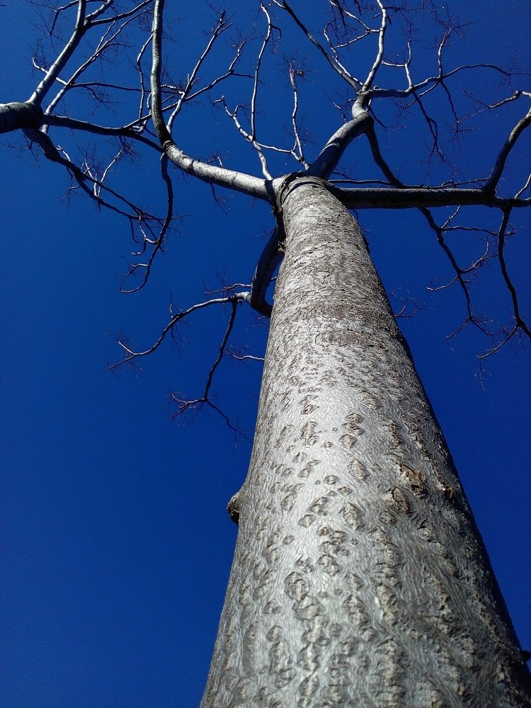 Photograph by Татьяна Исаева