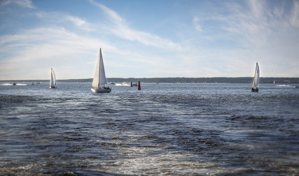 Photograph by Мария Самохина