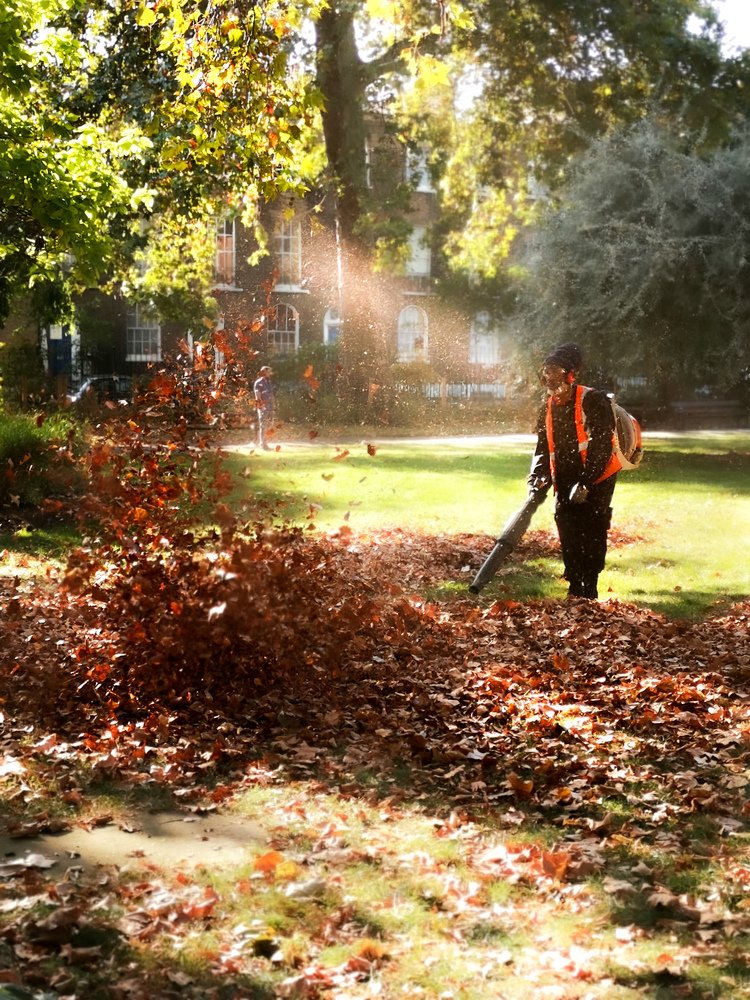 Бог листьев