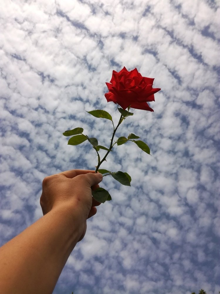 Photograph by Лилия