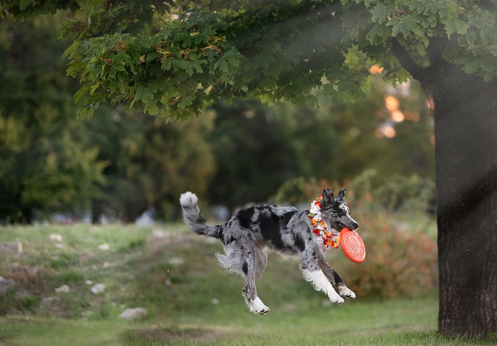 Photograph by Алина Савельева