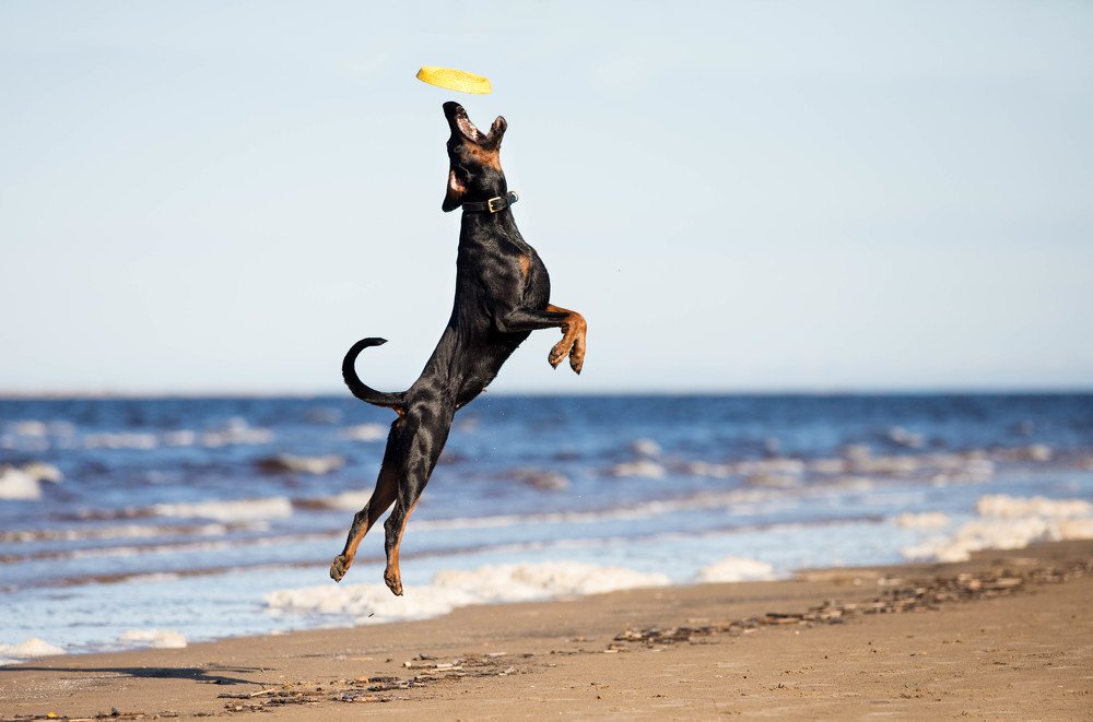 Главное верить в свои силы!