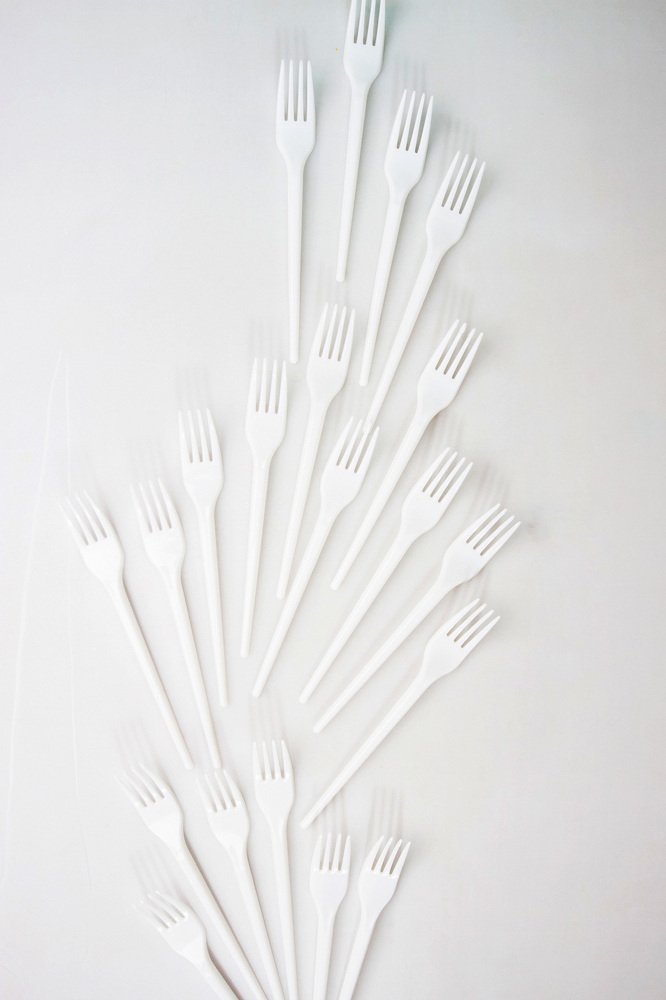 Photograph by Diana Bodnarenco