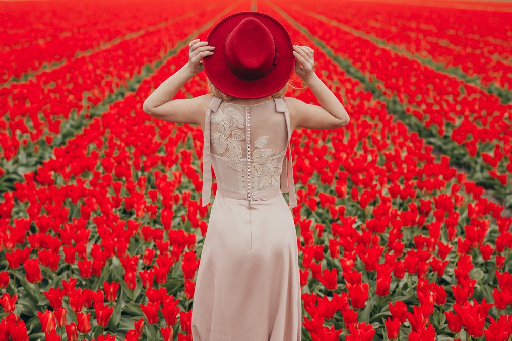 History about hat in tulips