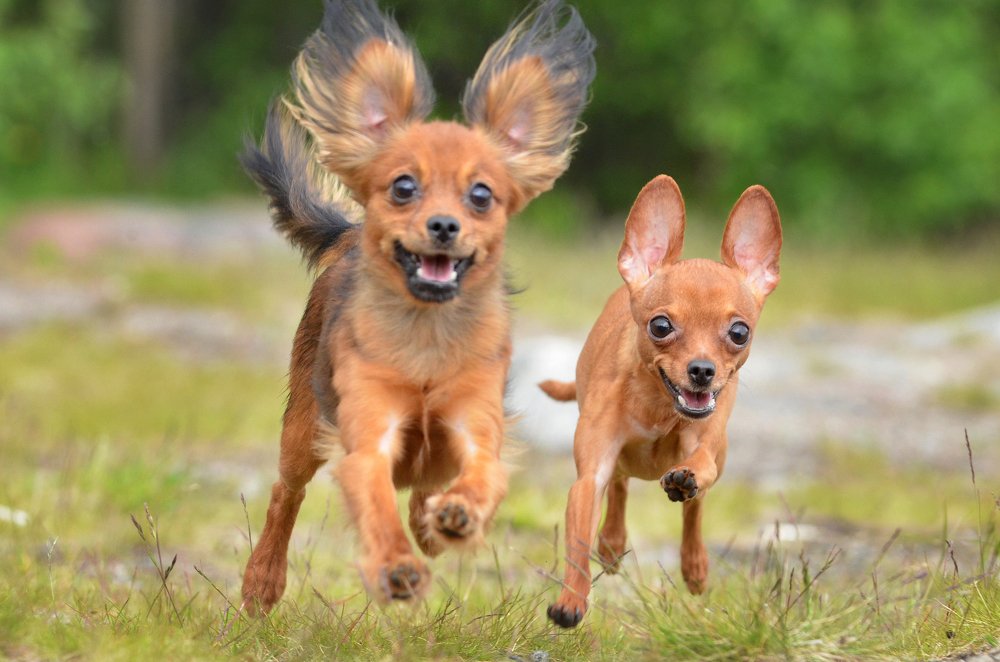 Photograph by Алина Цирмант